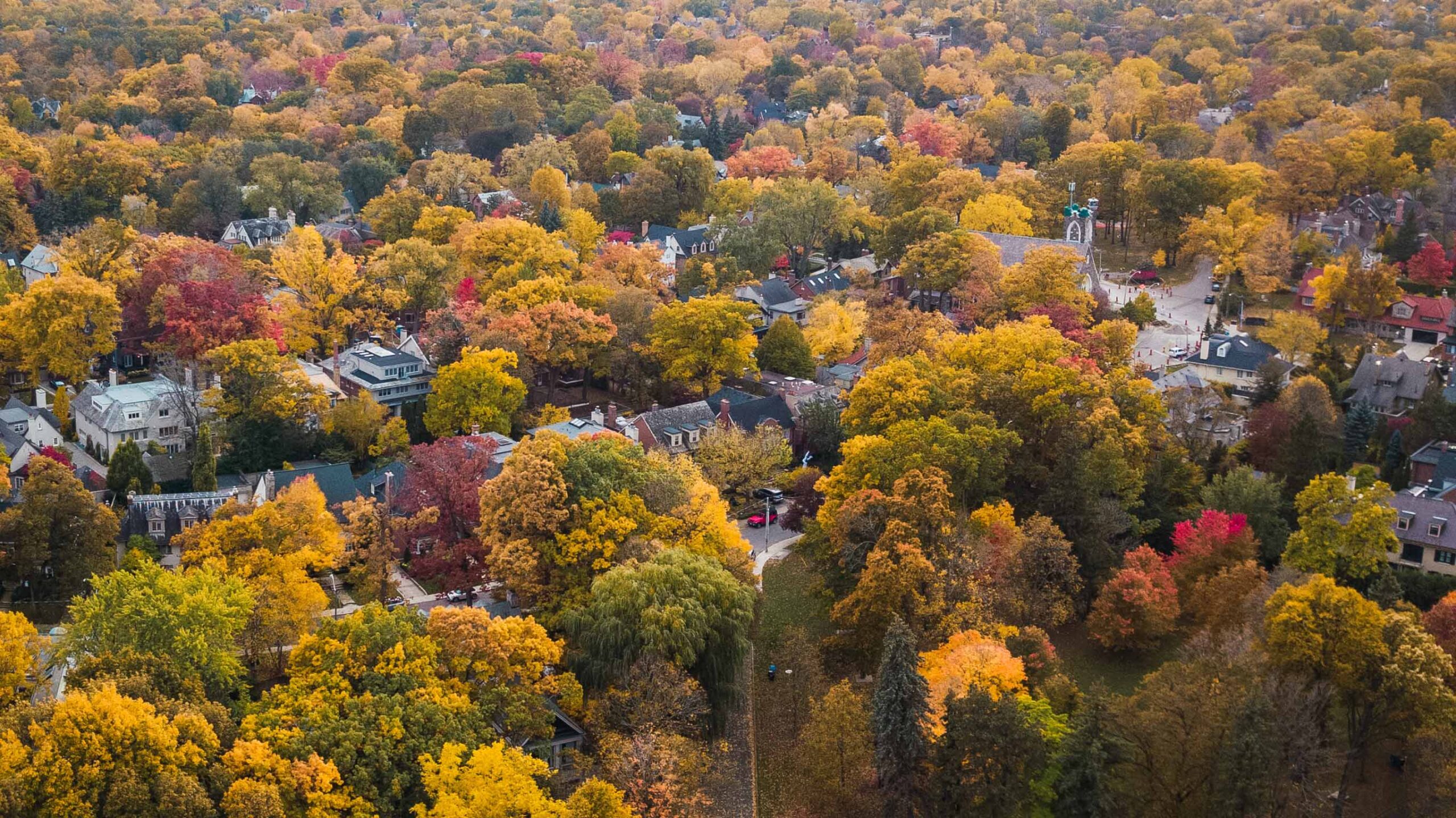 North Toronto Fall